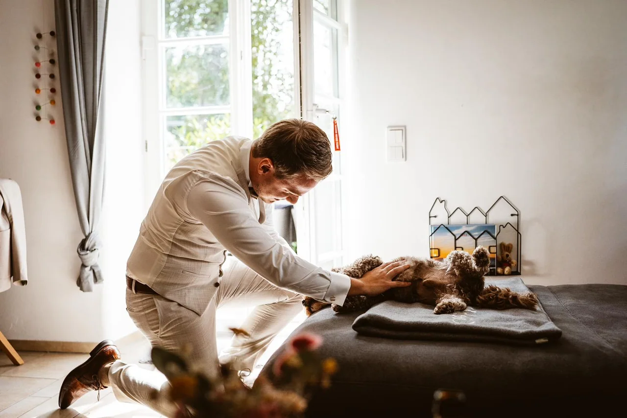 Person streichelt während der Vorbereitung einen Hund